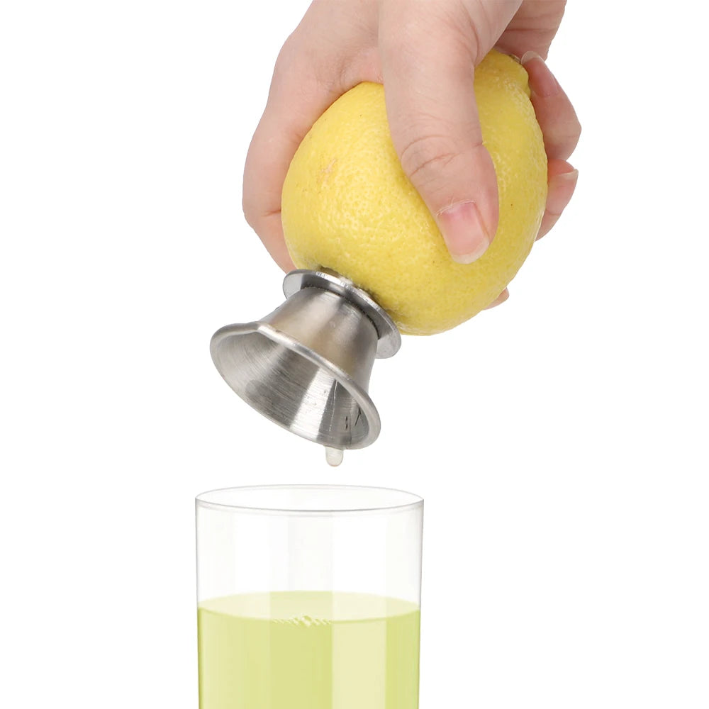 Stainless Steel Citrus Juicer