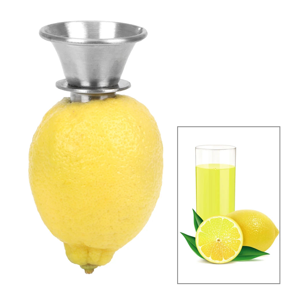 Stainless Steel Citrus Juicer