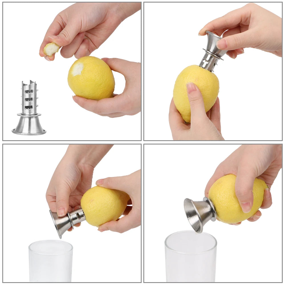 Stainless Steel Citrus Juicer