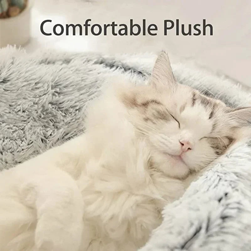 2-in-1 Winter Cat Bed