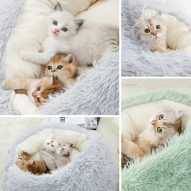 2-in-1 Winter Cat Bed