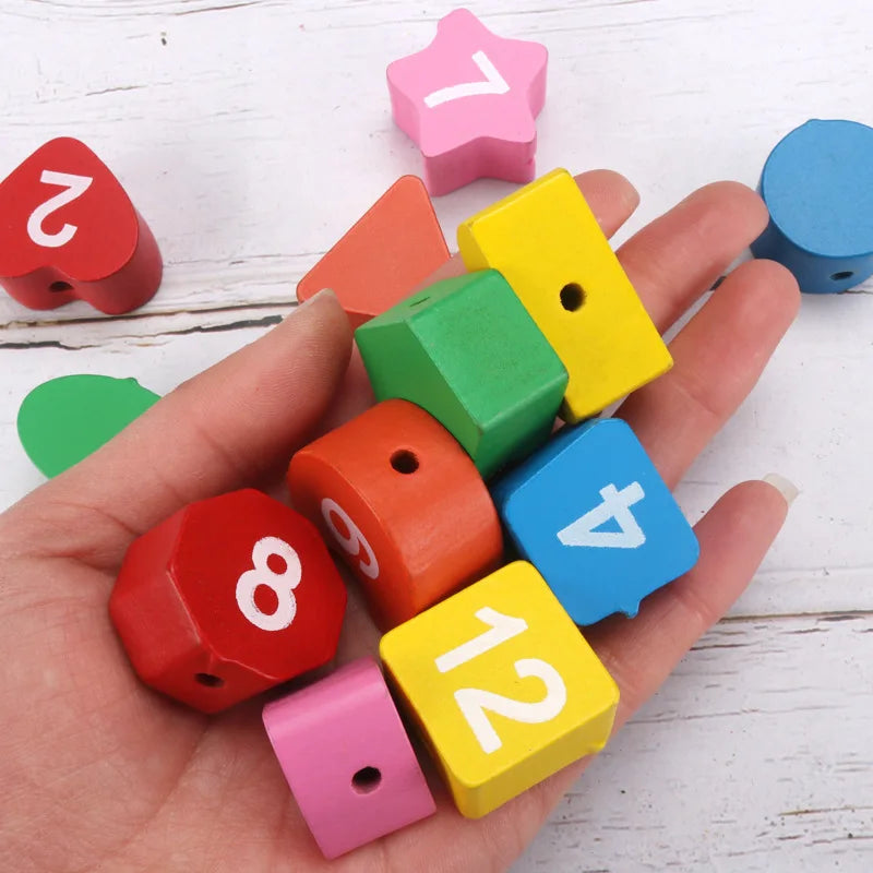 Montessori Wooden Puzzle