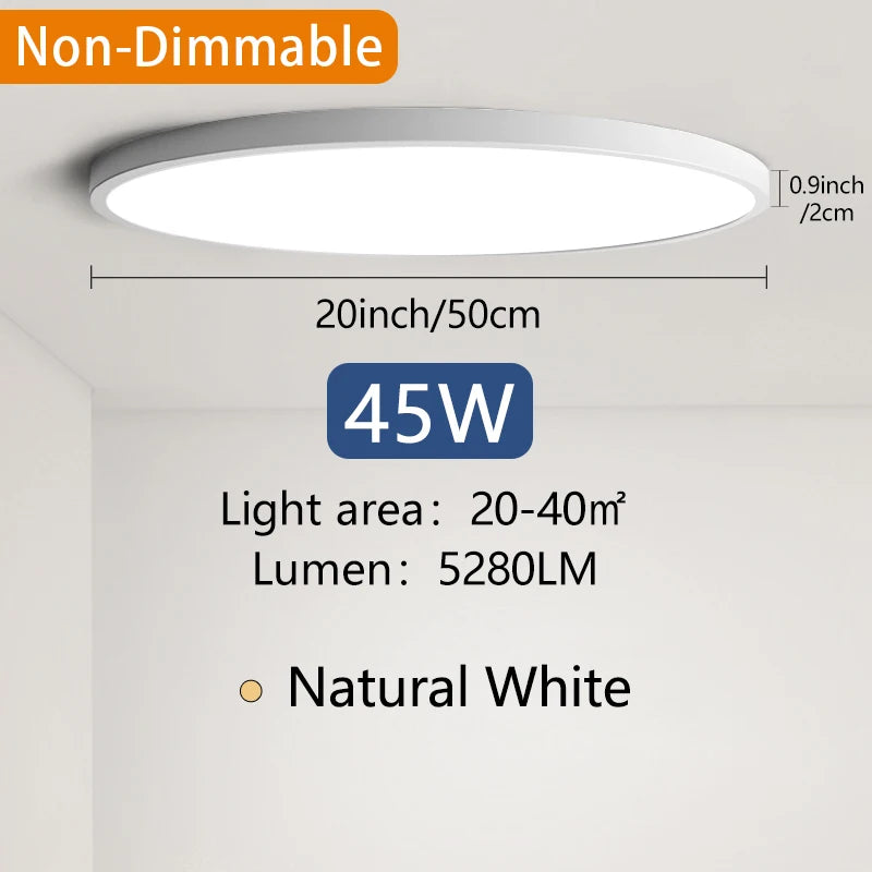 Smart Dimmable Ceiling Lamp