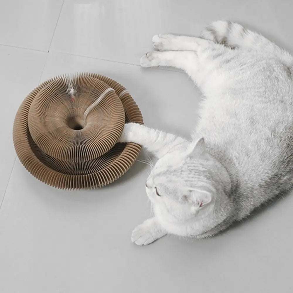 Accordion Cat Toy