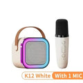 Bluetooth Karaoke Machine