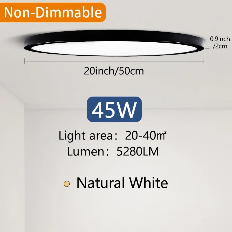 Smart Dimmable Ceiling Lamp