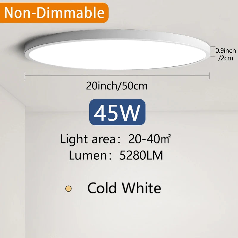 Smart Dimmable Ceiling Lamp